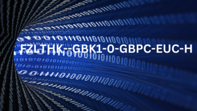 FZLTHK--GBK1-0-GBPC-EUC-H